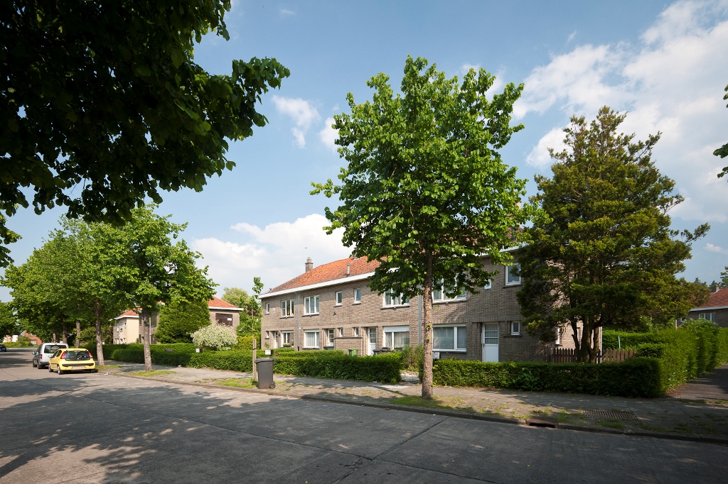 Gevelzicht van de huizen in de De Guchteneerestraat