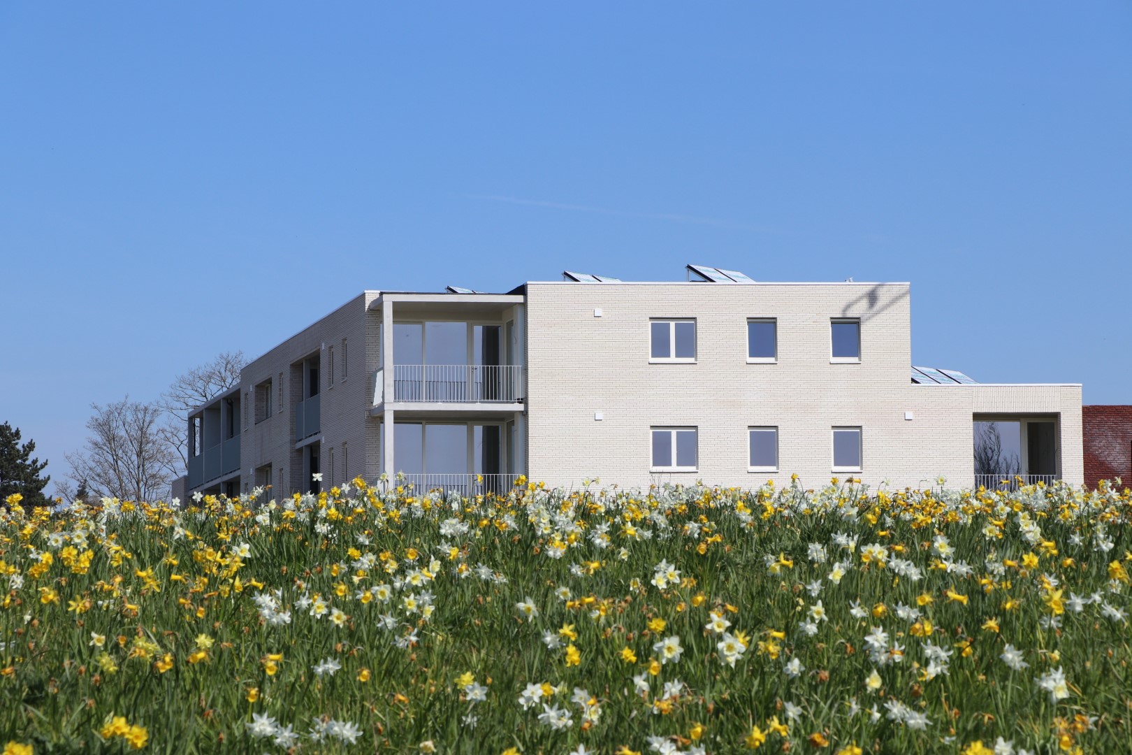 Gevelzicht gebouw Ijzertijdweg 27-33