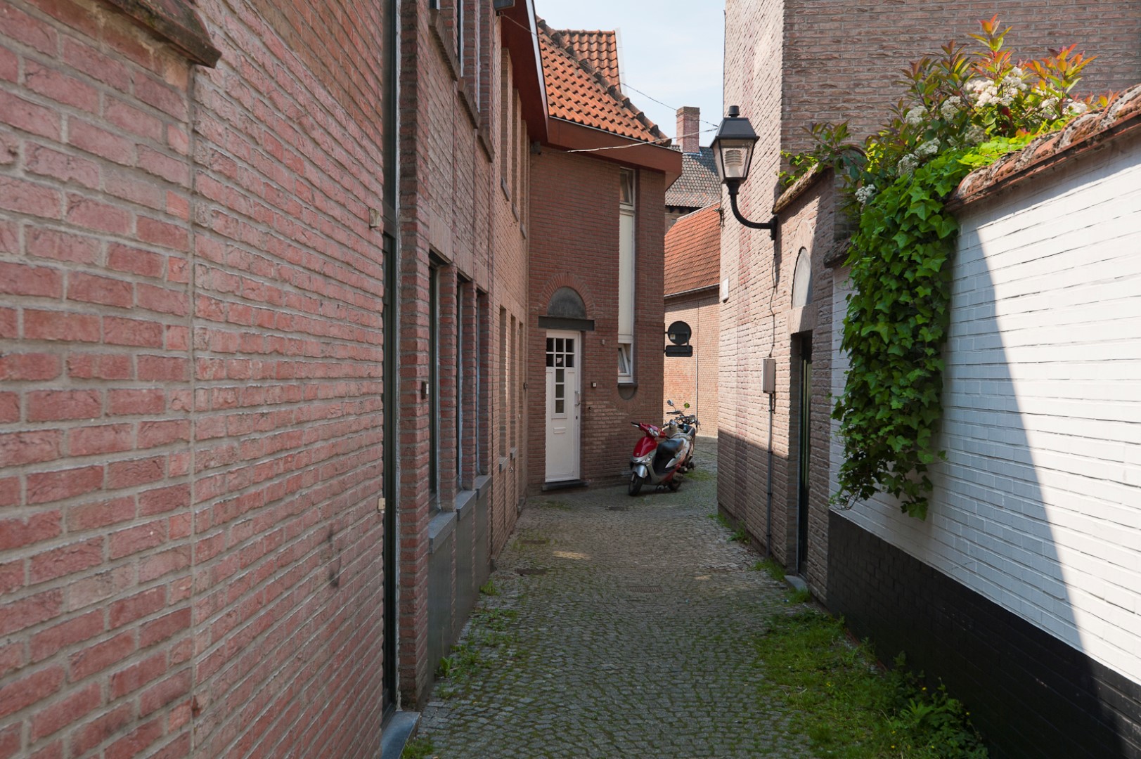 Gevelbeeld woningen in de Zwaanstraat in het Patershol