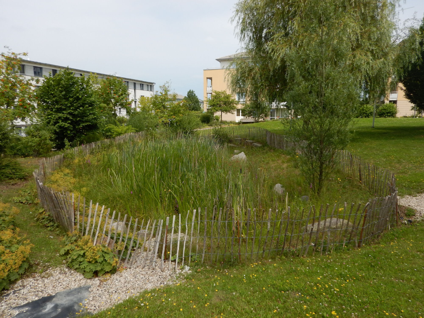 Referentiebeeld wadi