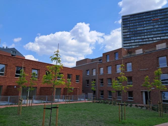 gemeenschappelijke tuin